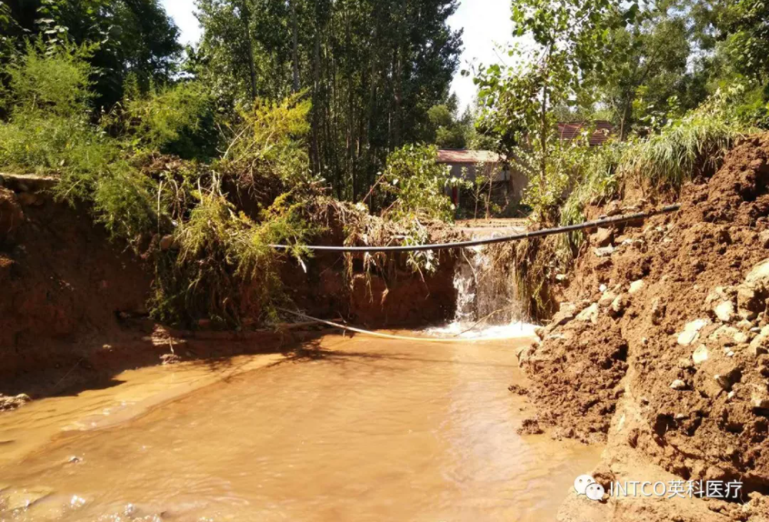 ��ҳ|Z6�����й��ٷ���վ