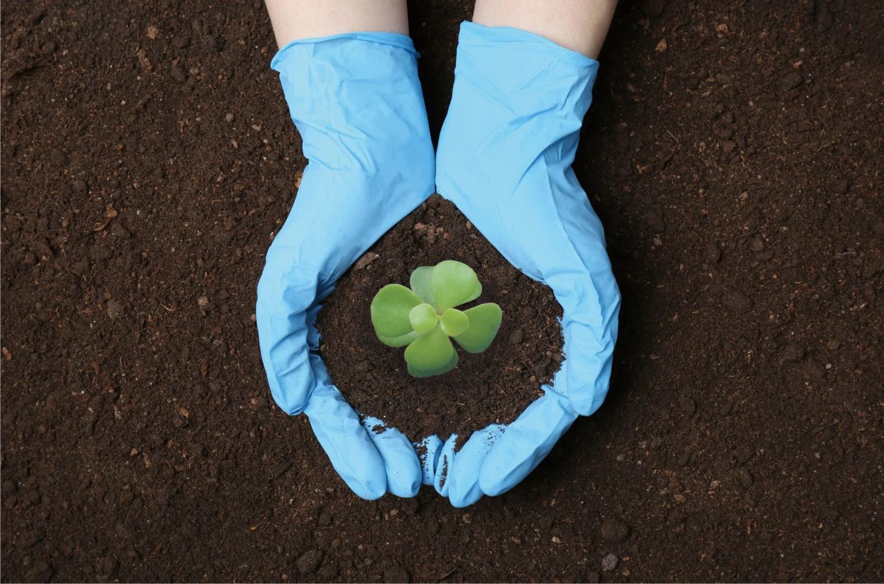 ��ҳ|Z6�����й��ٷ���վ