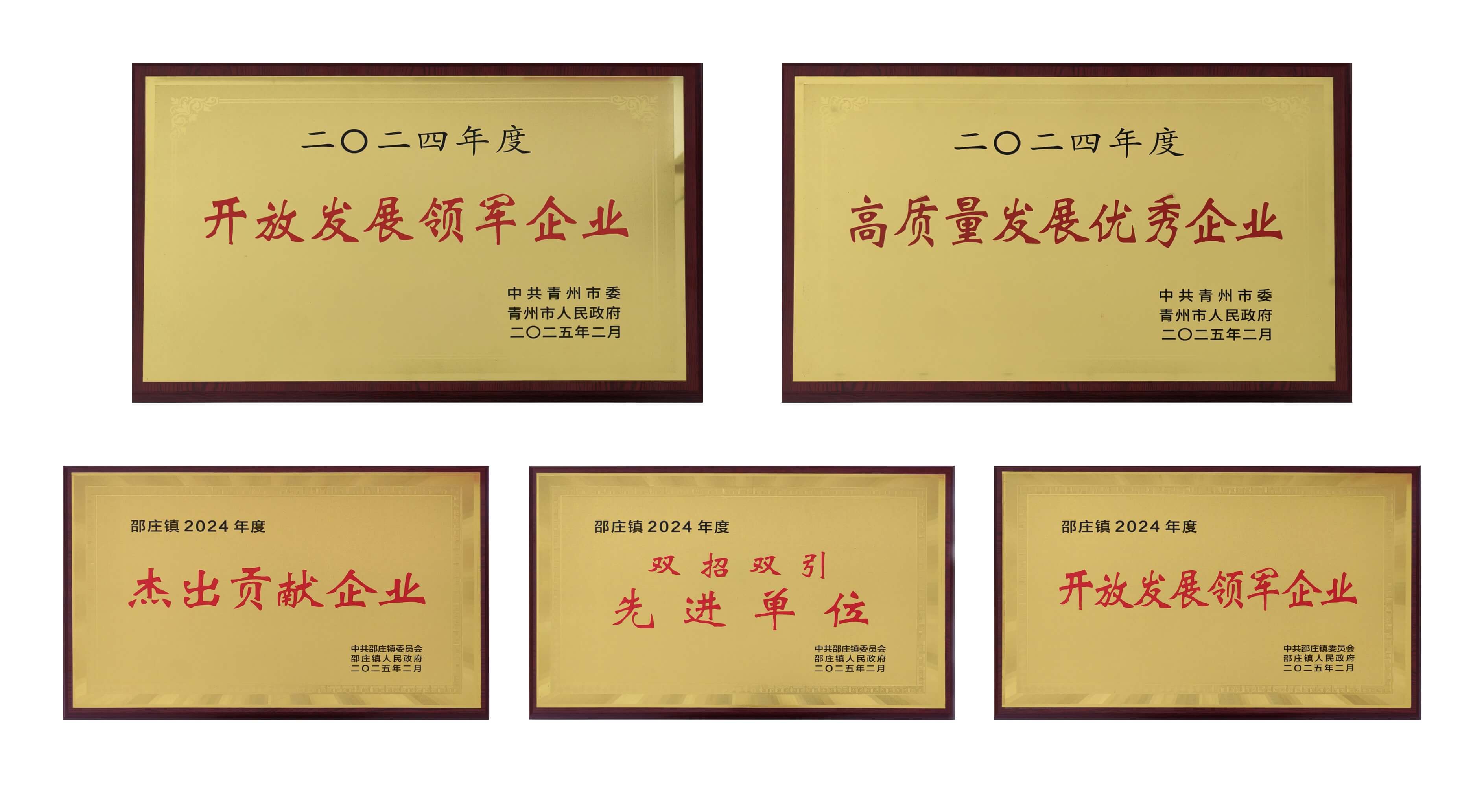 ɽ��Z6����ҽ���ٻ��������