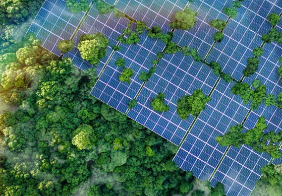 ��ҳ|Z6�����й��ٷ���վ