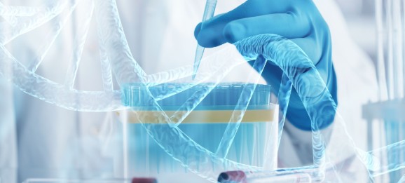 ��ҳ|Z6�����й��ٷ���վ